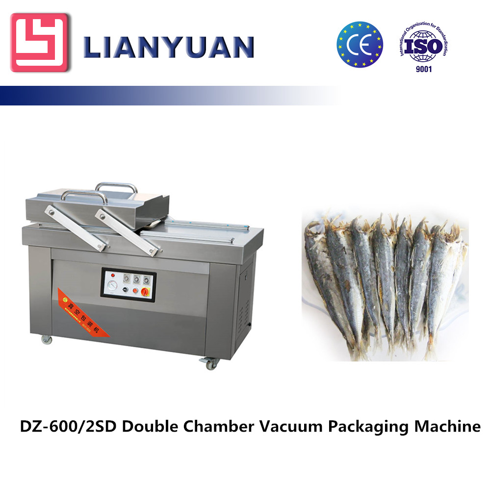 DZQ-600/2SC Double champer vacuum packing machine