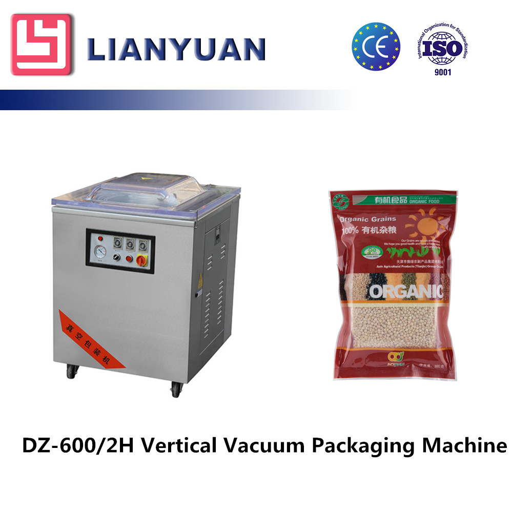 DZQ-6002H Vacuum packing machine